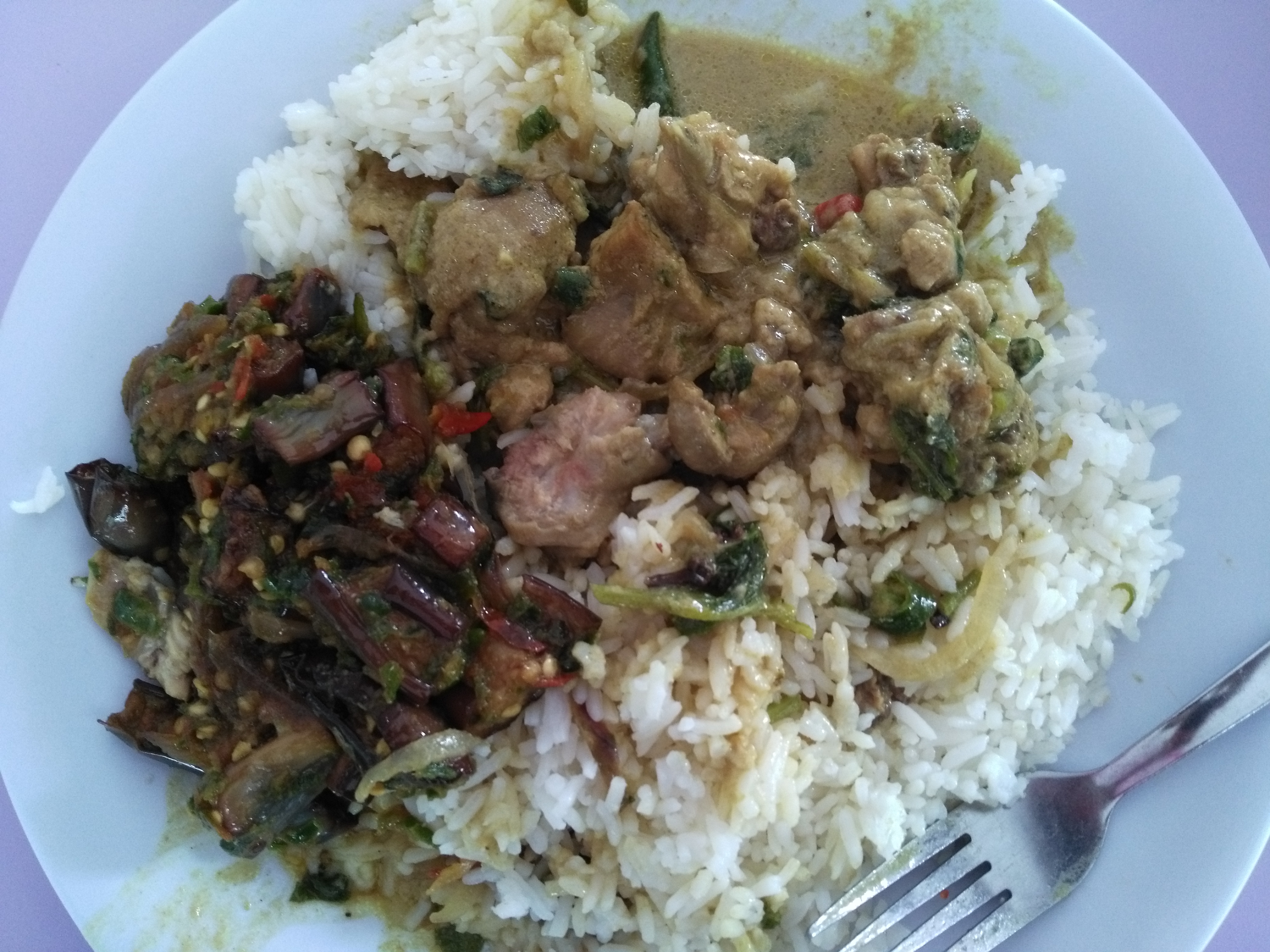Chicken kurma, fried eggplant, and rice.
