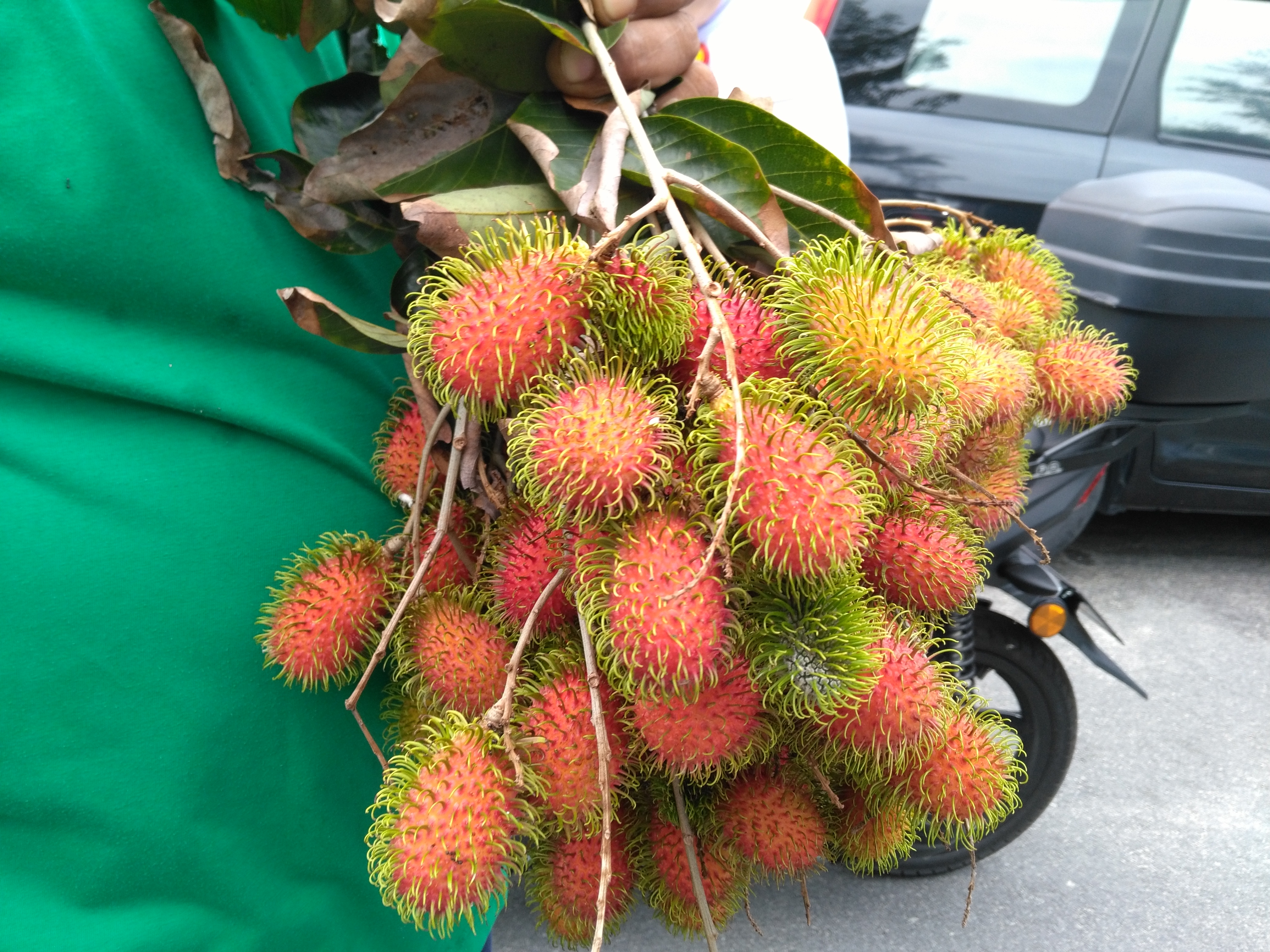 Rambutan - fruit curiously similar to lychee.
