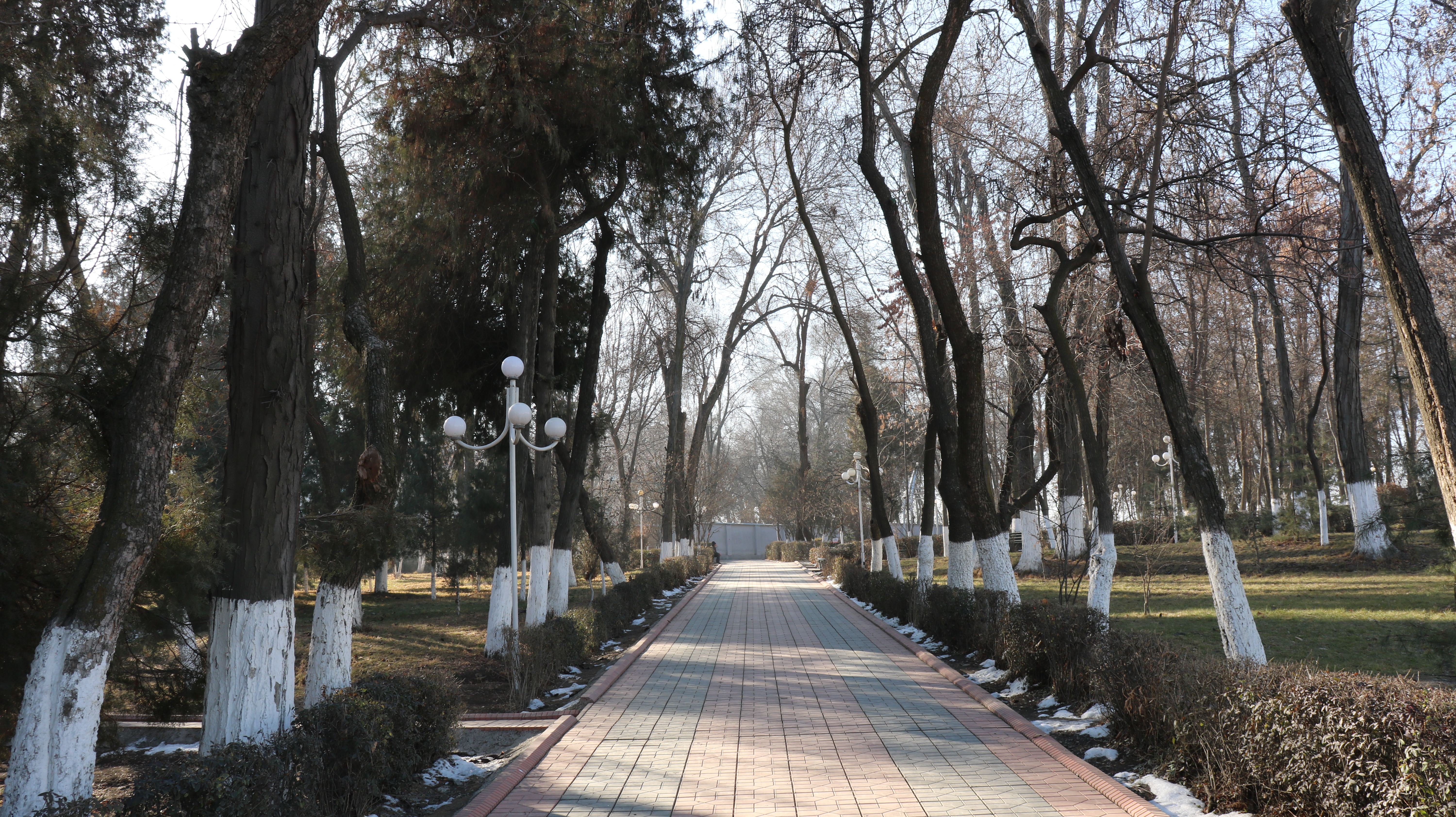 Toktogul Satylganov Park.