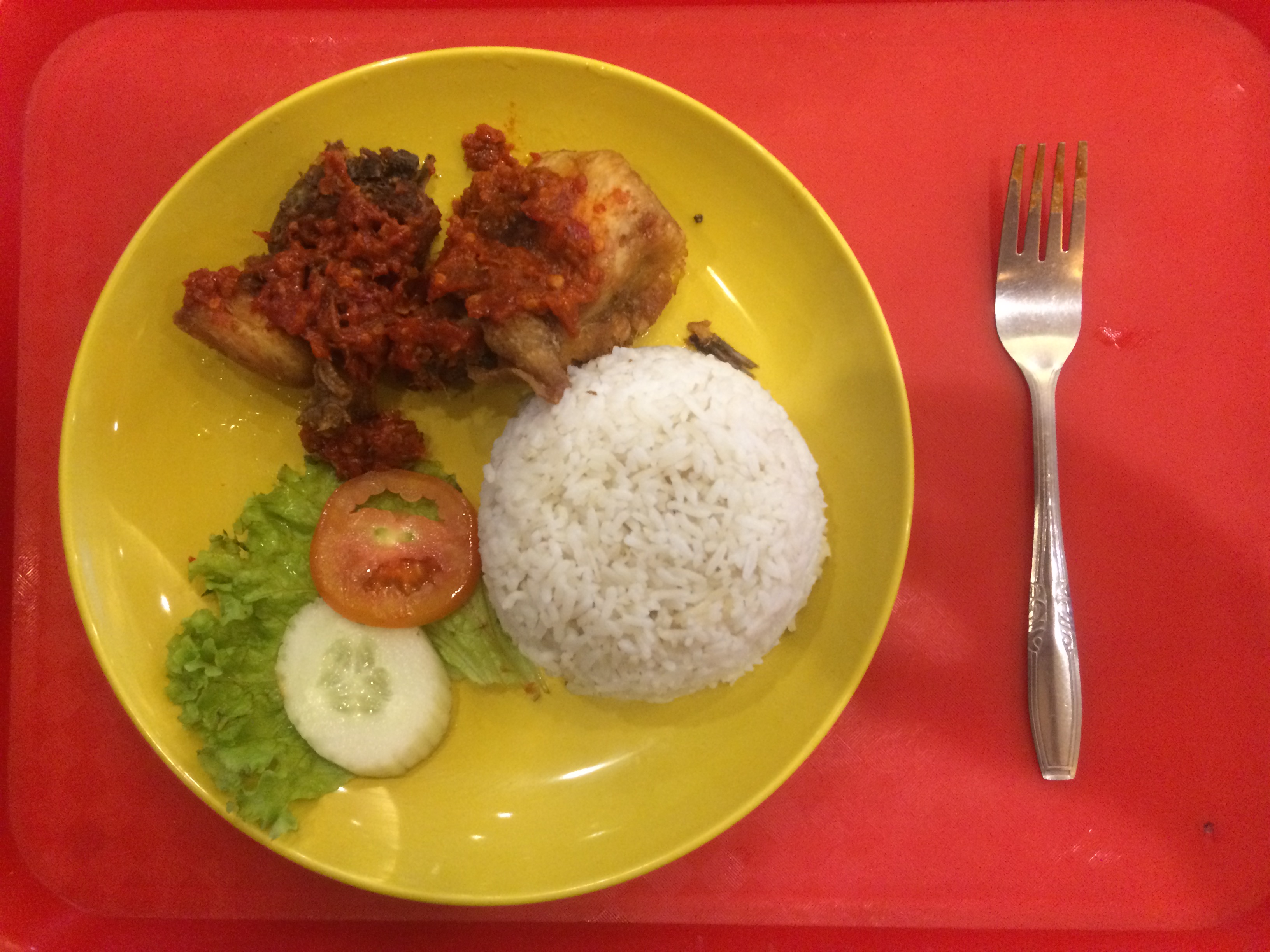 Ayam Goreng w/ Nasi Putih (friend chicken w/ white rice).